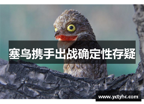 塞鸟携手出战确定性存疑